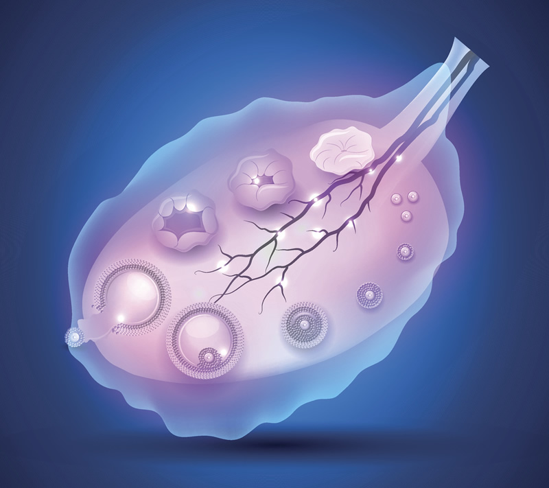 银川试管婴儿医院选择指南：附本地正规机构服务特色与费用明细参考
